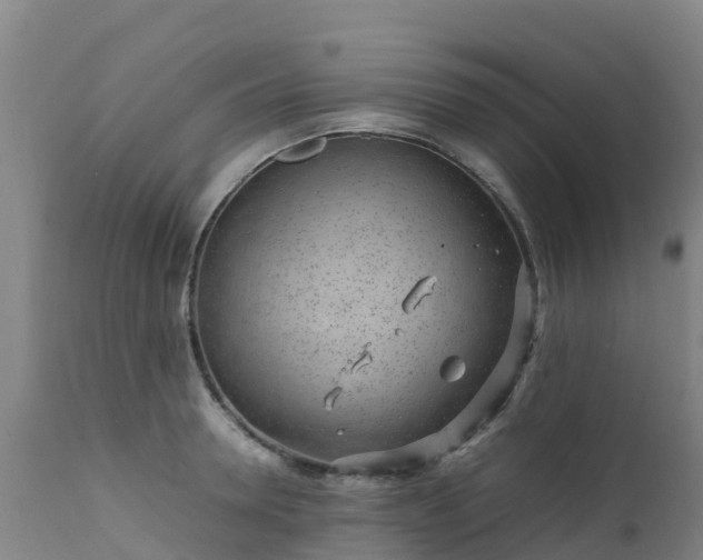 X0000111470946200907201133