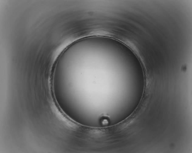 X0000111470947200907201133