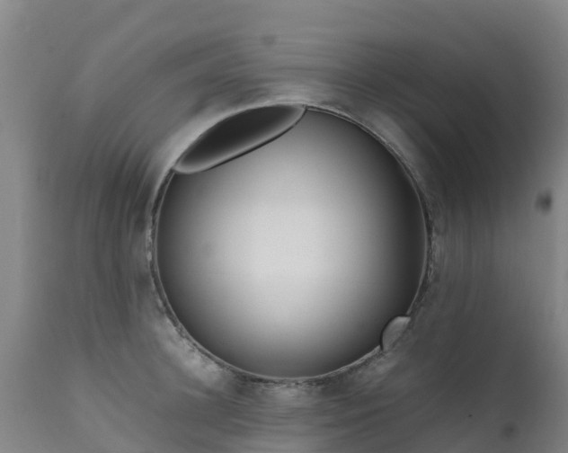 X0000111470948200907201133