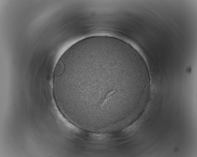 X0000111470951200907201133