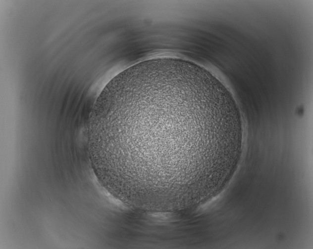 X0000111470953200907201133