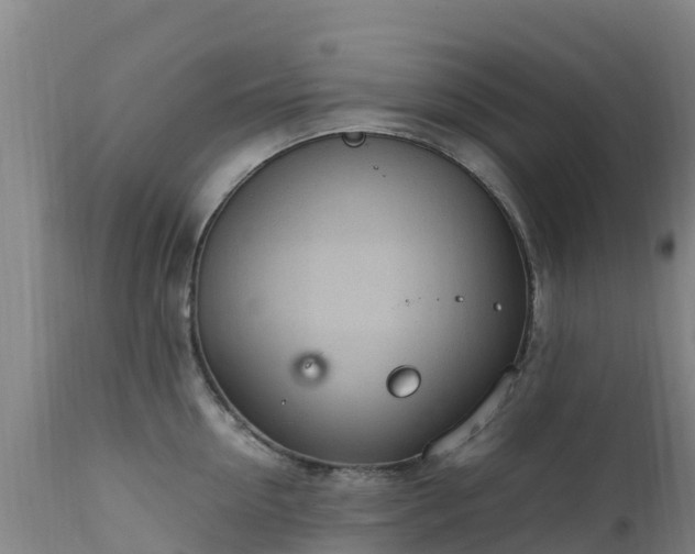 X0000111470954200907201133