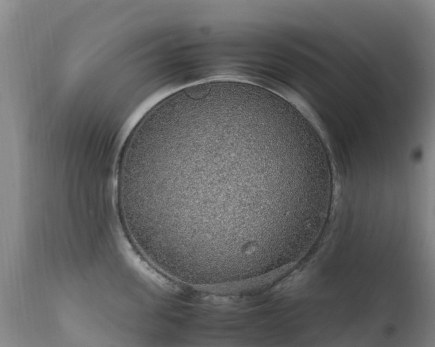 X0000111470955200907201133