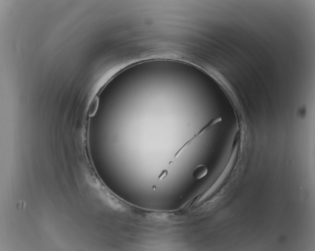 X0000111470956200907201133