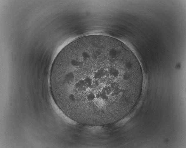 X0000111470957200907201133