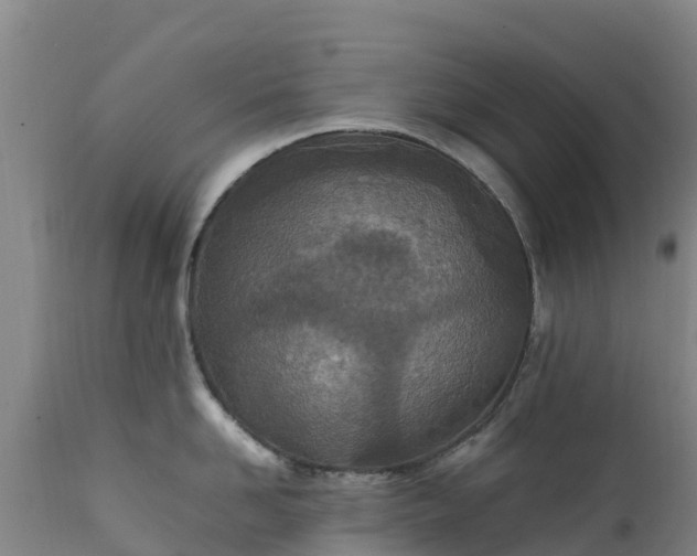 X0000111470958200907201133