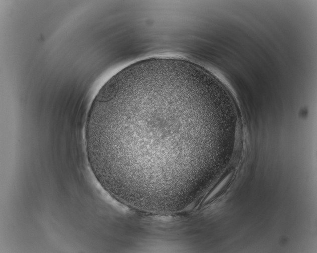 X0000111470959200907201133