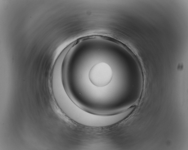 X0000111470960200907201133