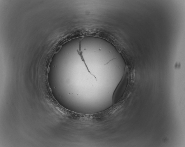 X0000111470961200907201132