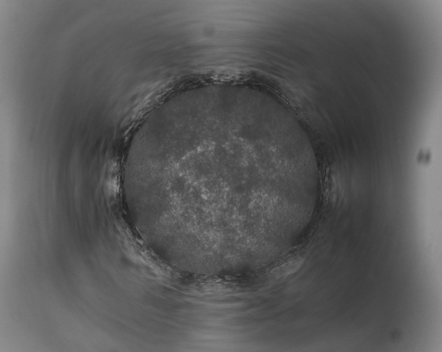 X0000111470962200907201132