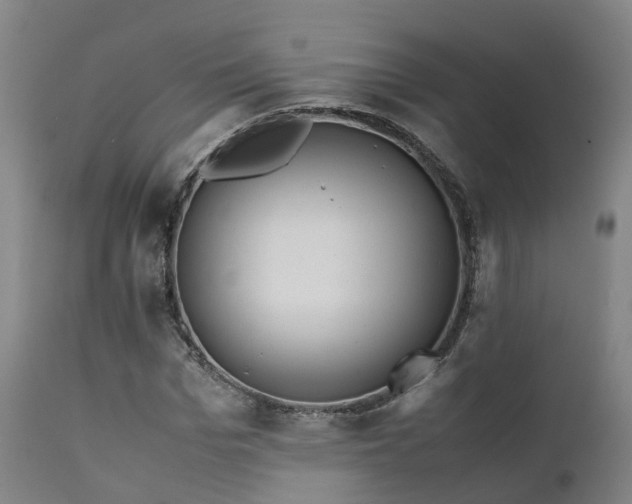 X0000111470969200907201132