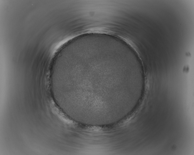 X0000111470971200907201132