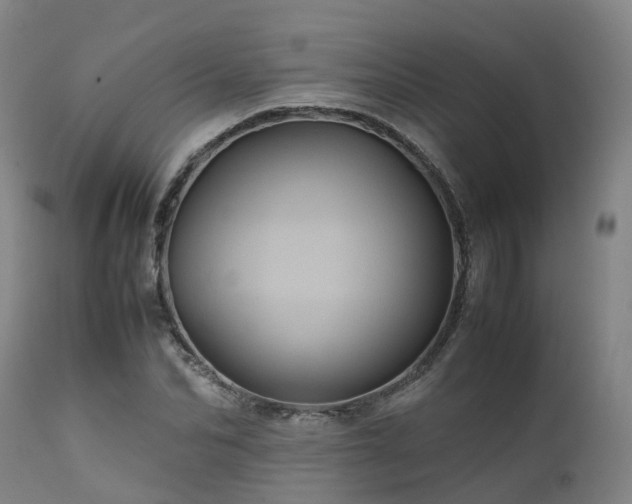 X0000111470974200907201132