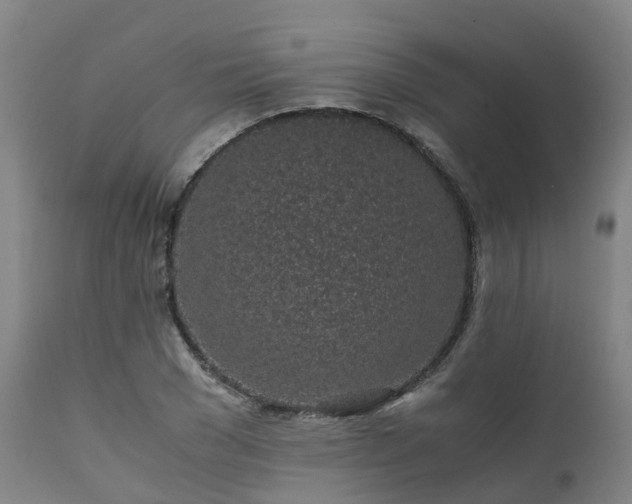 X0000111470977200907201132