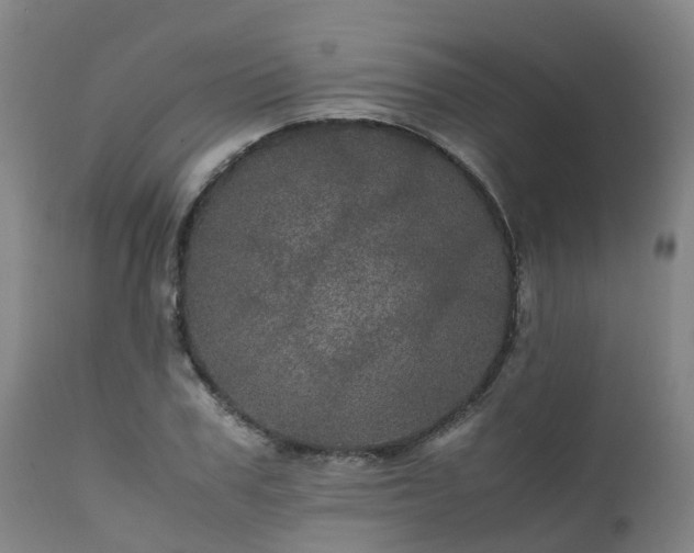 X0000111470979200907201132