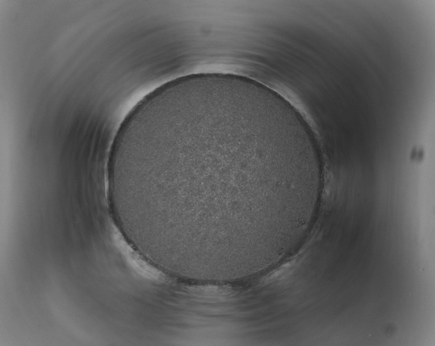 X0000111470980200907201132