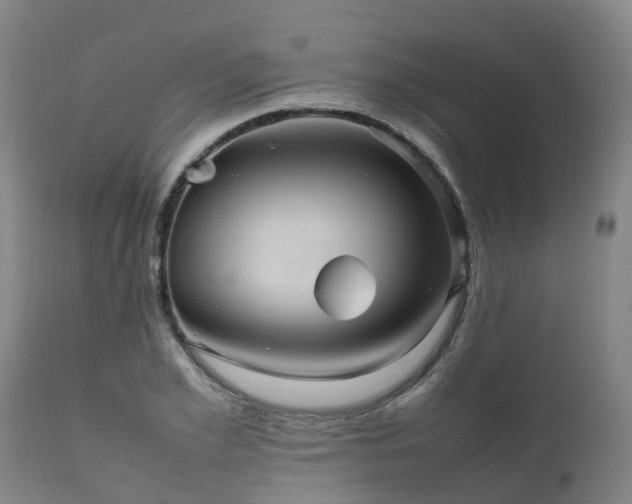 X0000111470981200907201132