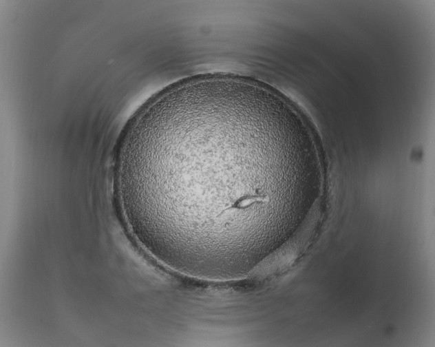 X0000111470983200907201132