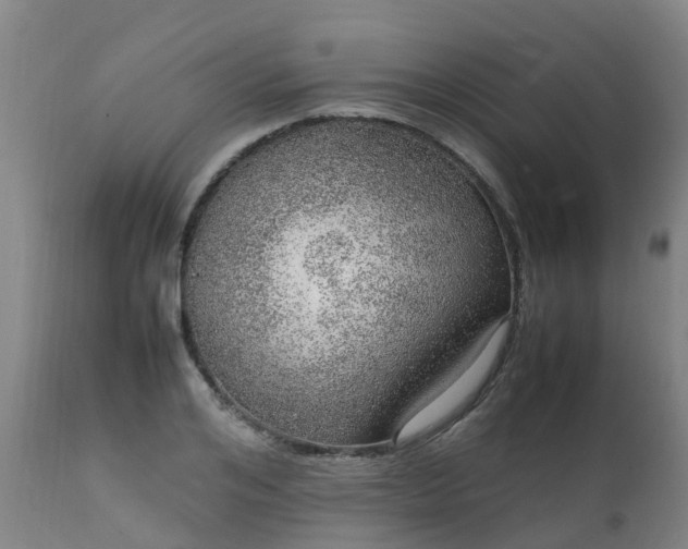 X0000111470984200907201132