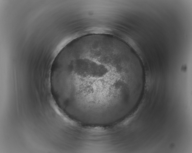 X0000111470986200907201132