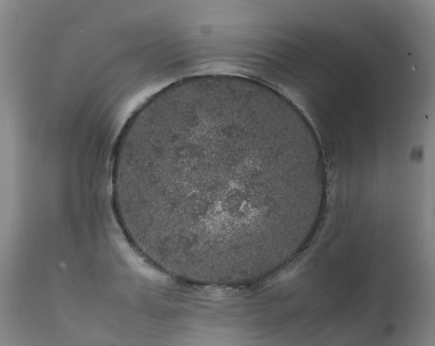 X0000111470987200907201132