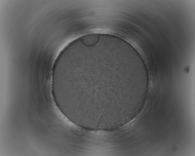 X0000111470992200907201132