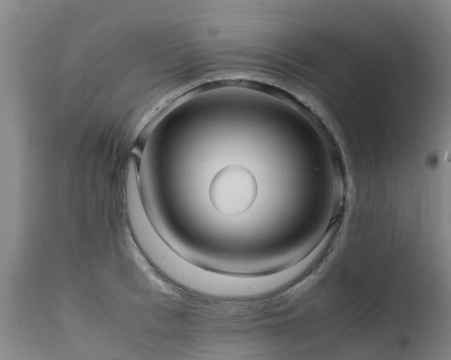 X0000111470993200907201132