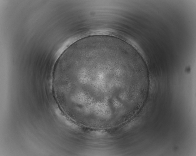 X0000111470994200907201132