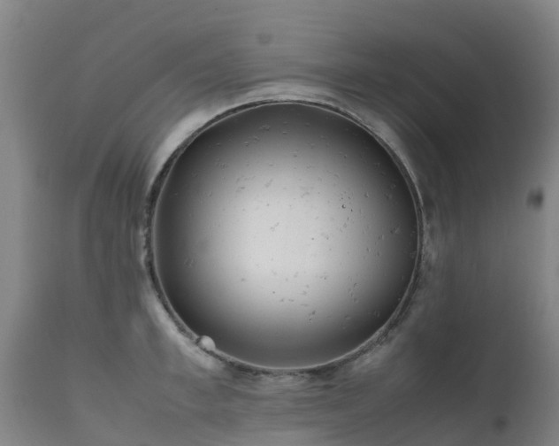 X0000111470997200907201132