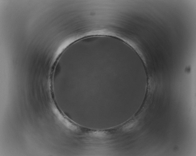 X0000111470998200907201132