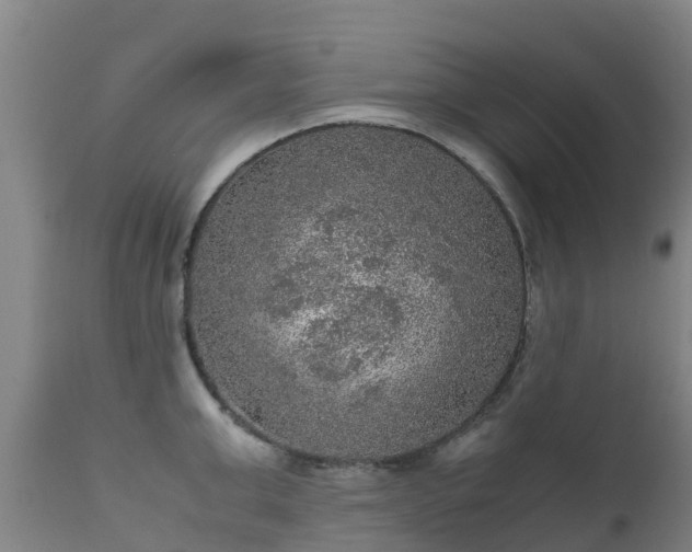 X0000111470999200907201132