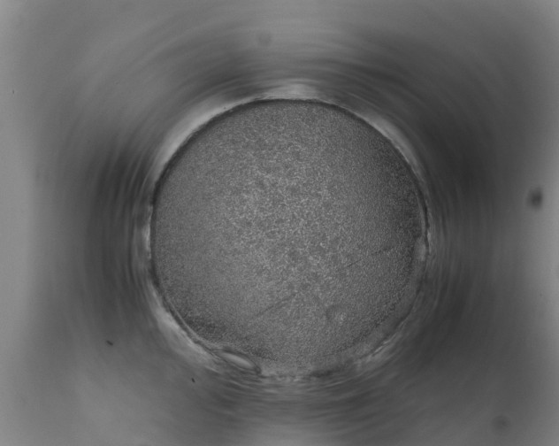 X0000111471000200907201132