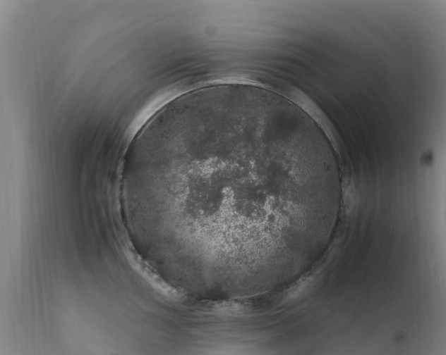 X0000111471002200907201132