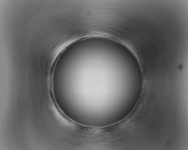 X0000111471003200907201132