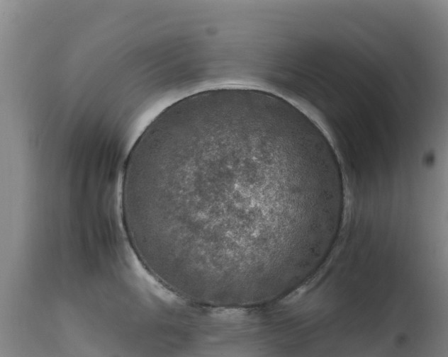 X0000111471006200907201132