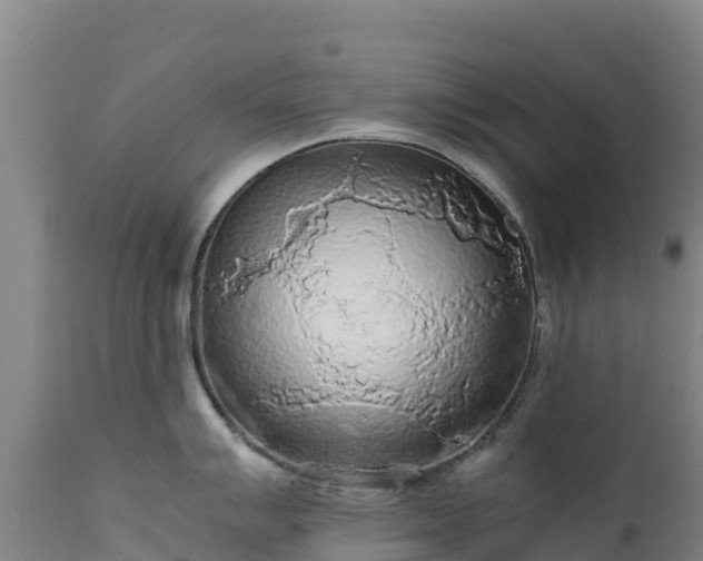 X0000111471007200907201132