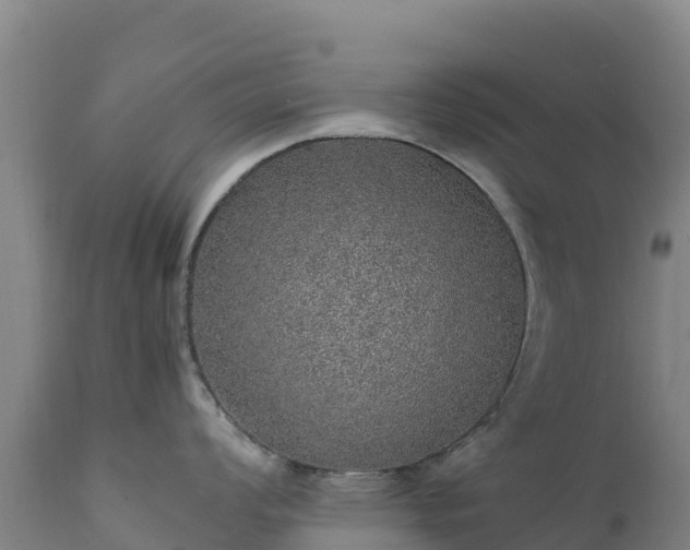 X0000111471008200907201132