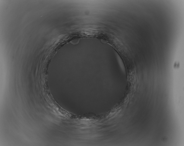 X0000111471009200907201131