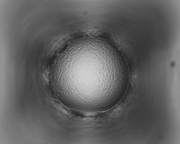 X0000111471010200907201131