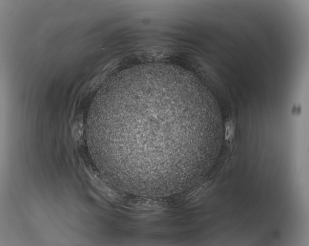 X0000111471011200907201131