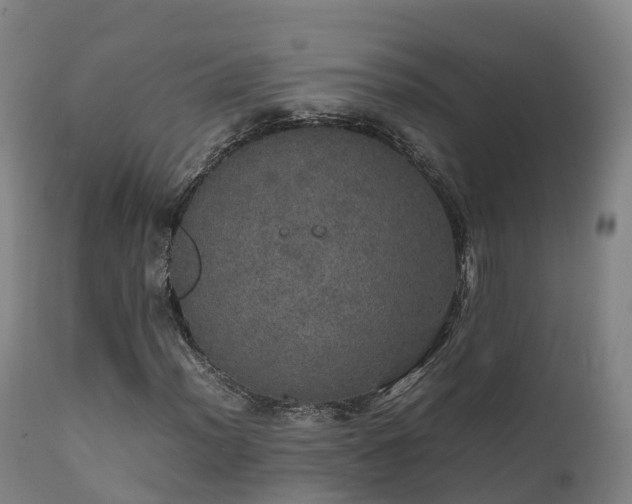 X0000111471012200907201131