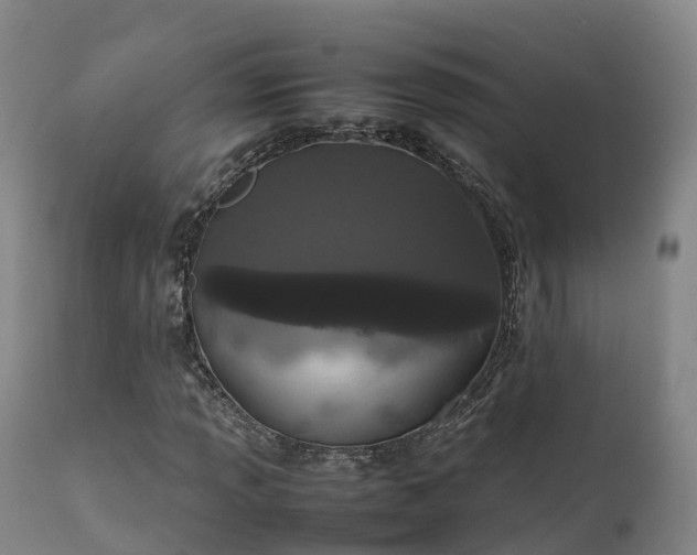 X0000111471013200907201131