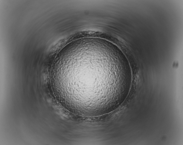 X0000111471014200907201131