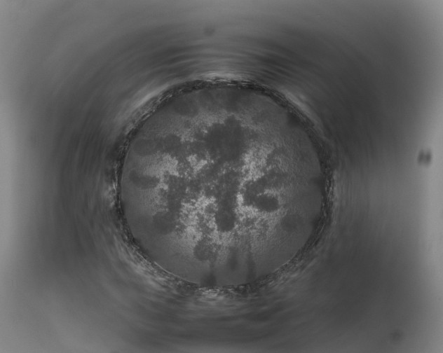 X0000111471015200907201131