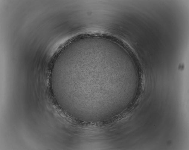 X0000111471016200907201131