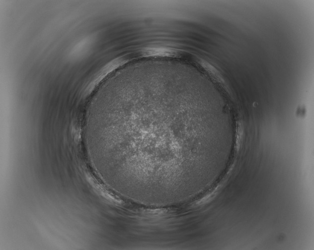 X0000111471017200907201131