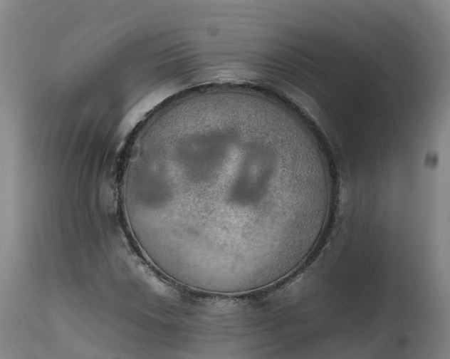 X0000111471018200907201131