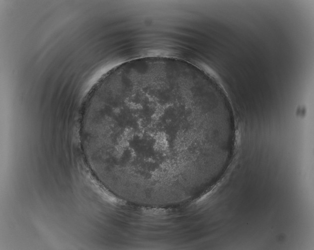 X0000111471019200907201131