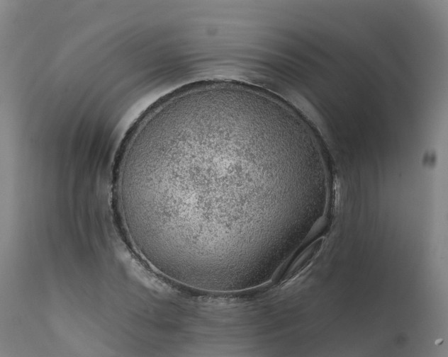 X0000111471020200907201131