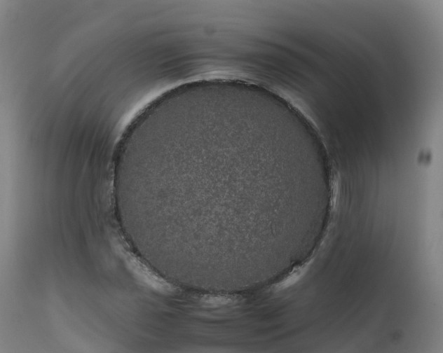 X0000111471021200907201131